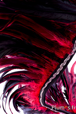 Col coq bordure argentée - long. plumes 25-32 cm - noir-carmin